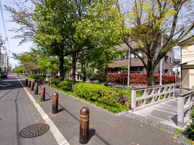 画像を別ウィンドウで表示します 画像