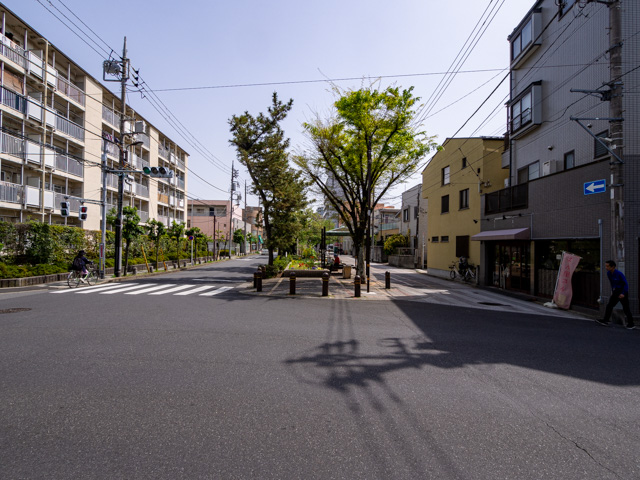 画像を別ウィンドウで表示します 画像
