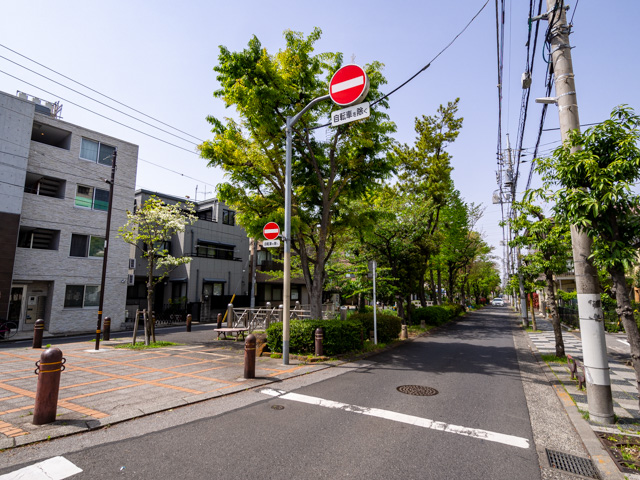 画像を別ウィンドウで表示します 画像