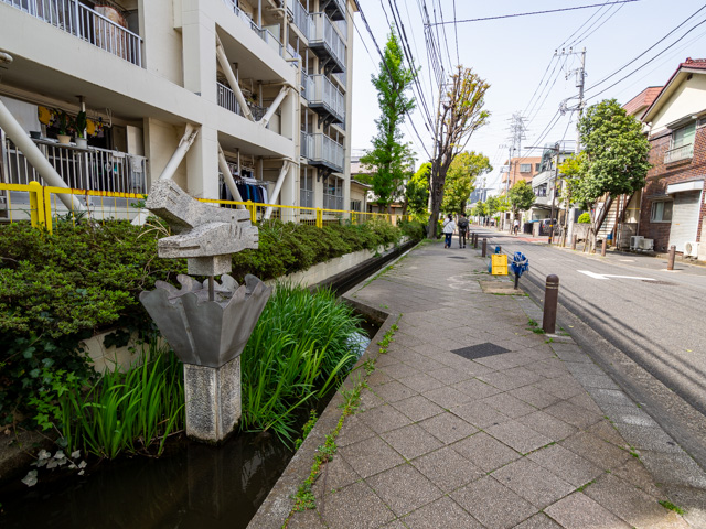 画像を別ウィンドウで表示します 画像