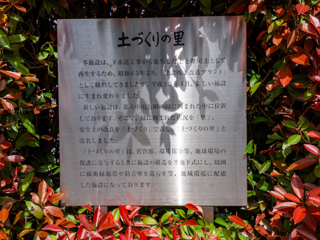 画像を別ウィンドウで表示します 画像