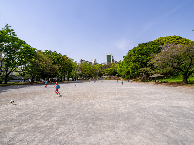 画像を別ウィンドウで表示します 画像
