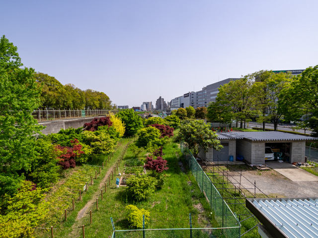 画像を別ウィンドウで表示します 画像