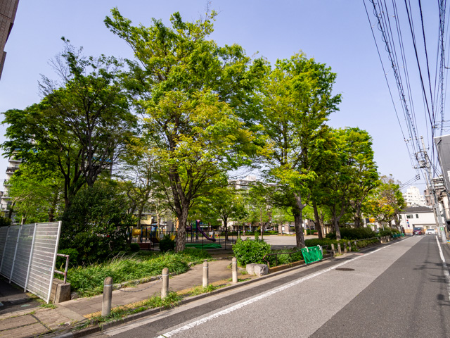 画像を別ウィンドウで表示します 画像