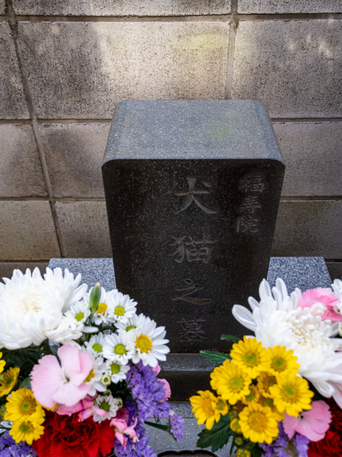 画像を別ウィンドウで表示します 画像