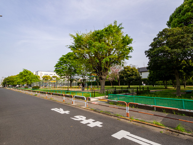 画像を別ウィンドウで表示します 画像