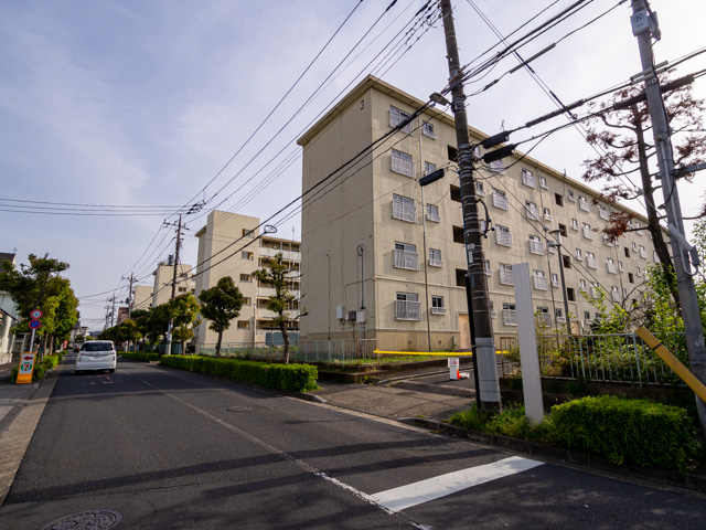 画像を別ウィンドウで表示します 画像