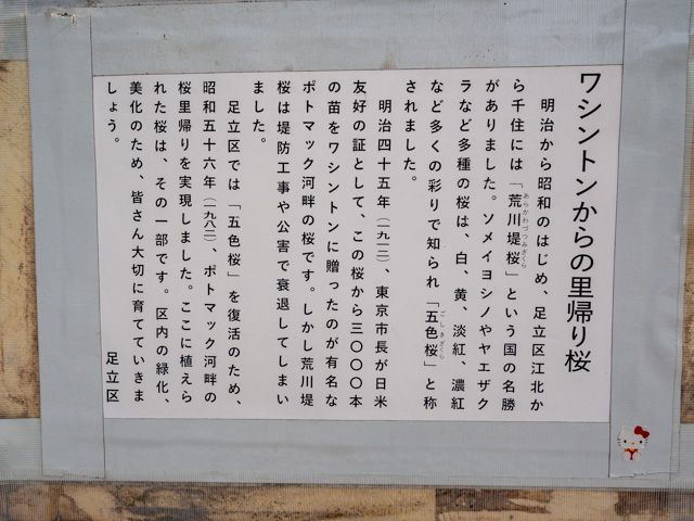 画像を別ウィンドウで表示します 画像