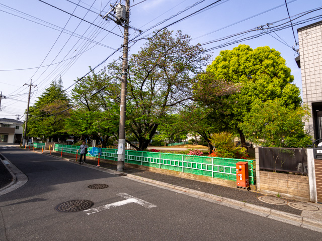 画像を別ウィンドウで表示します 画像