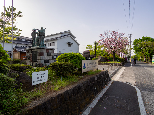 画像を別ウィンドウで表示します 画像