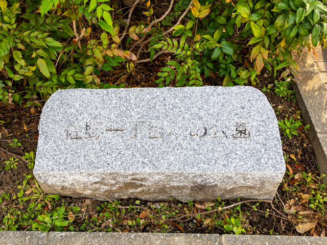 画像を別ウィンドウで表示します 画像