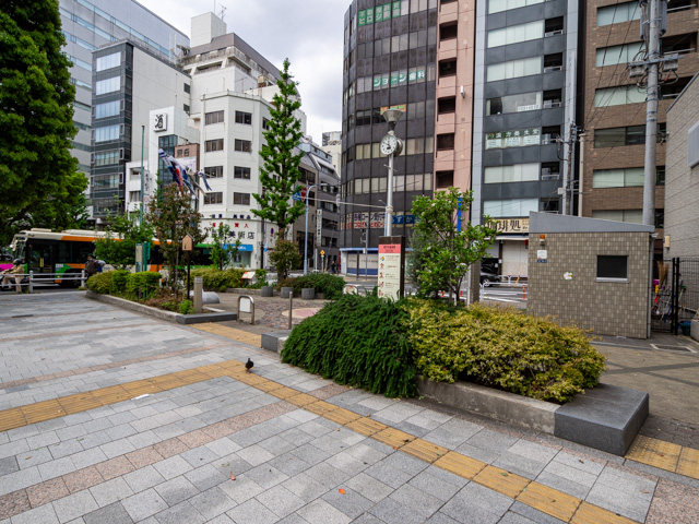 画像を別ウィンドウで表示します 画像