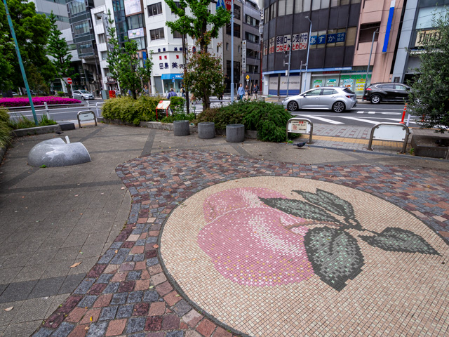 画像を別ウィンドウで表示します 画像
