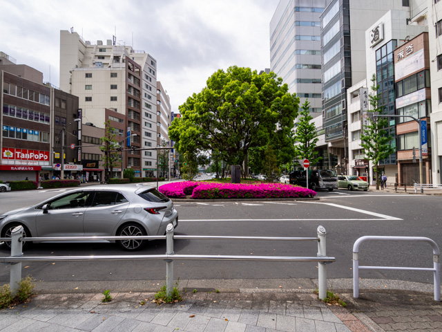 画像を別ウィンドウで表示します 画像