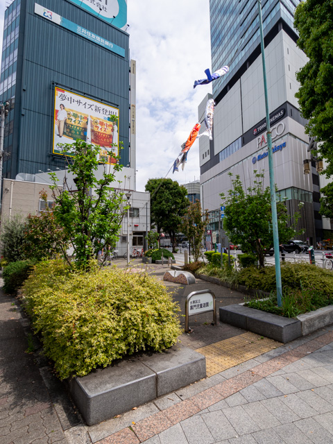 画像を別ウィンドウで表示します 画像