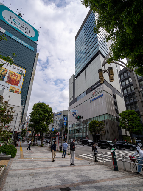 画像を別ウィンドウで表示します 画像