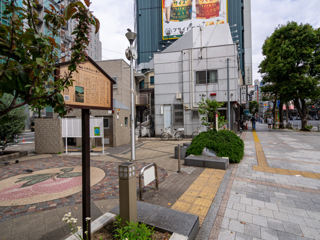 画像を別ウィンドウで表示します 画像