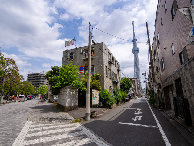 画像を別ウィンドウで表示します 画像