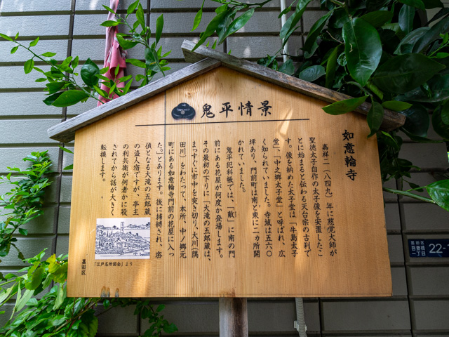 画像を別ウィンドウで表示します 画像