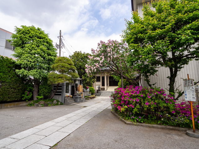 画像を別ウィンドウで表示します 画像