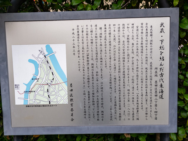 画像を別ウィンドウで表示します 画像