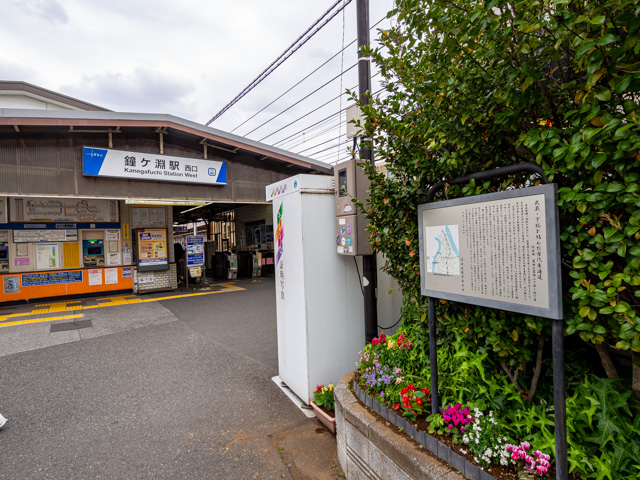 画像を別ウィンドウで表示します 画像