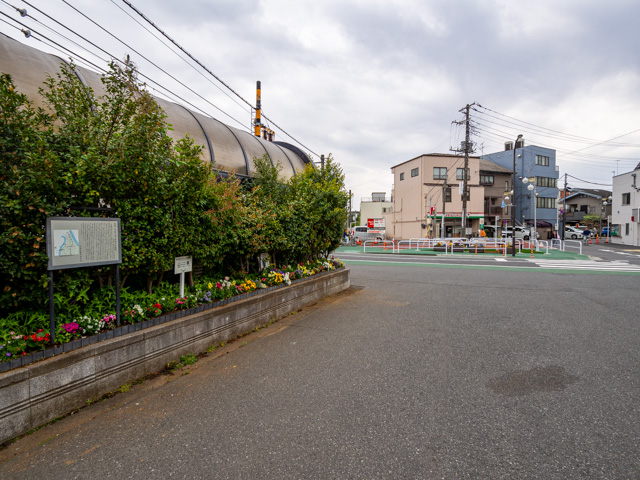 画像を別ウィンドウで表示します 画像