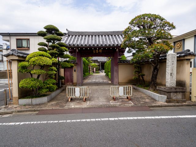 画像を別ウィンドウで表示します 画像