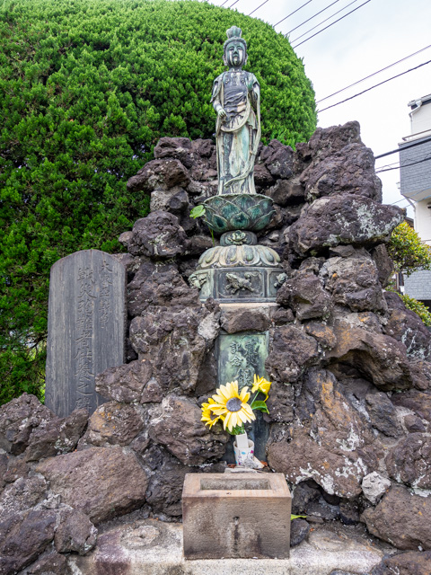 画像を別ウィンドウで表示します 画像