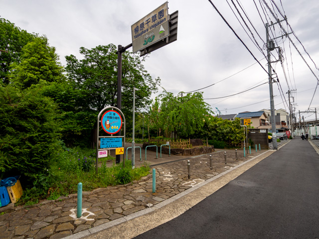 画像を別ウィンドウで表示します 画像