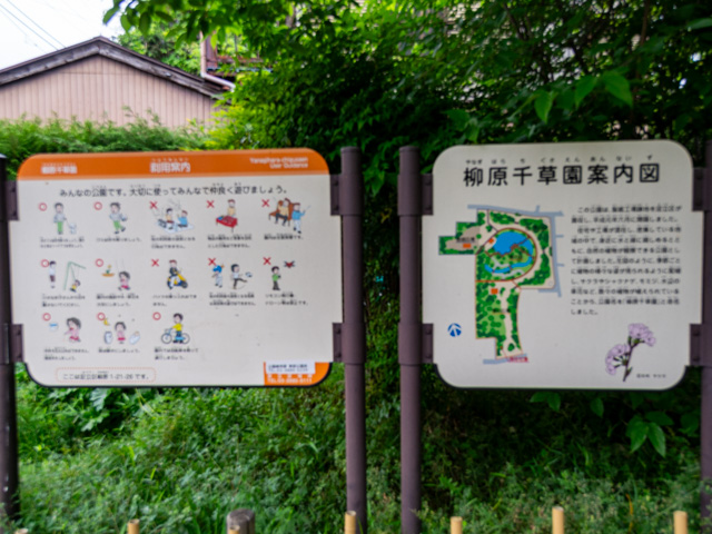 画像を別ウィンドウで表示します 画像