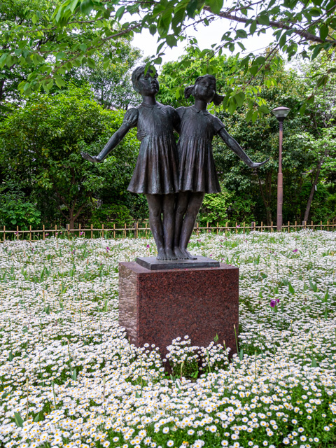 画像を別ウィンドウで表示します 画像
