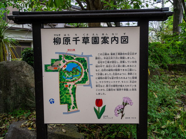 画像を別ウィンドウで表示します 画像