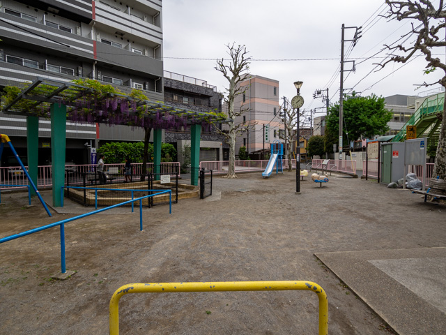 画像を別ウィンドウで表示します 画像