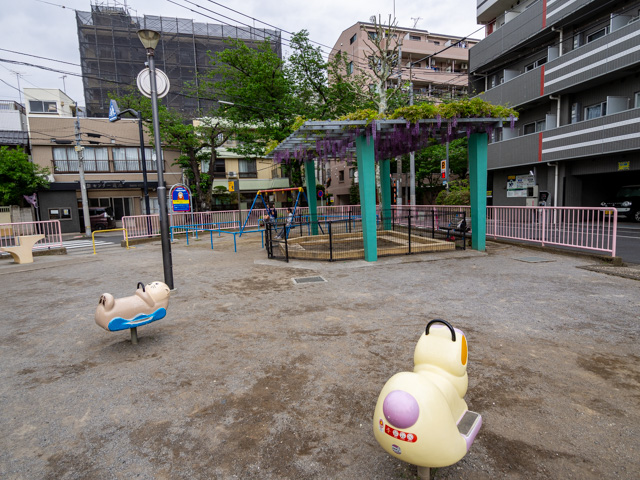 画像を別ウィンドウで表示します 画像