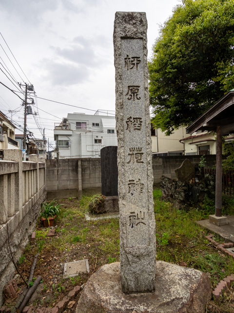 画像を別ウィンドウで表示します 画像