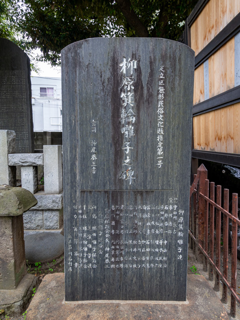 画像を別ウィンドウで表示します 画像