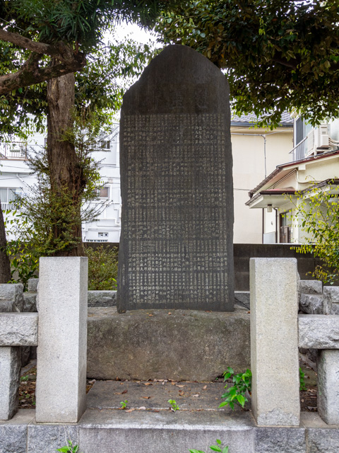 画像を別ウィンドウで表示します 画像