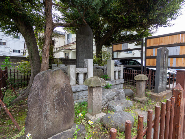 画像を別ウィンドウで表示します 画像