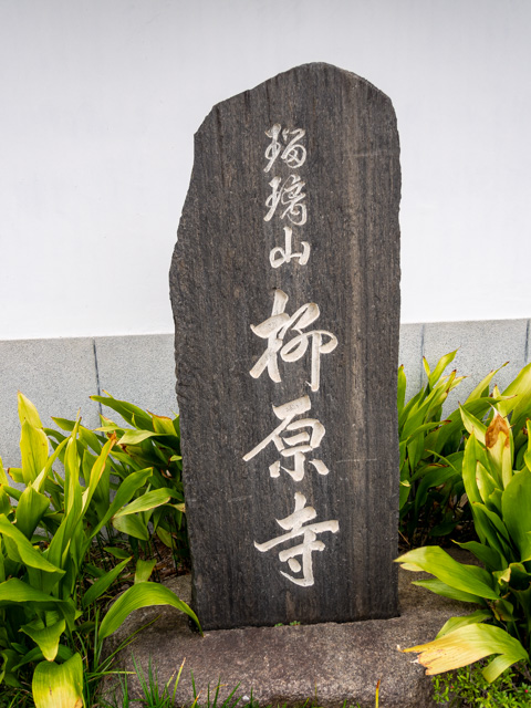 画像を別ウィンドウで表示します 画像
