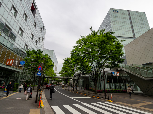 画像を別ウィンドウで表示します 画像