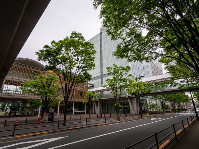 画像を別ウィンドウで表示します 画像