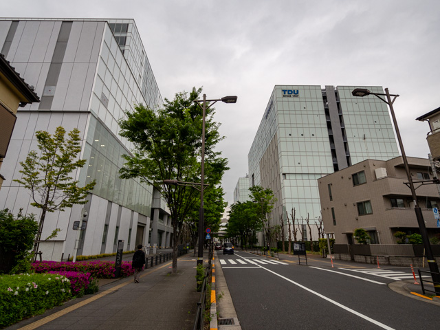 画像を別ウィンドウで表示します 画像