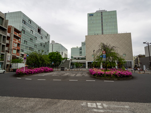 画像を別ウィンドウで表示します 画像