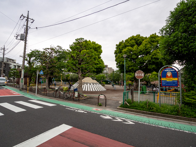 画像を別ウィンドウで表示します 画像