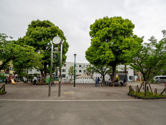 画像を別ウィンドウで表示します 画像