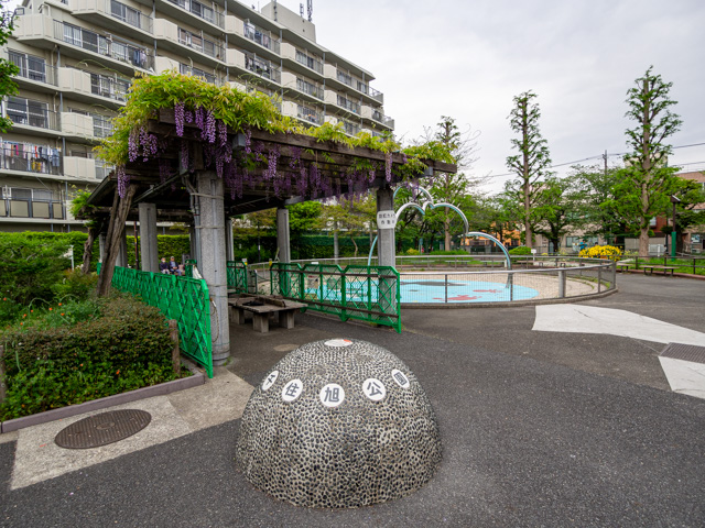 画像を別ウィンドウで表示します 画像