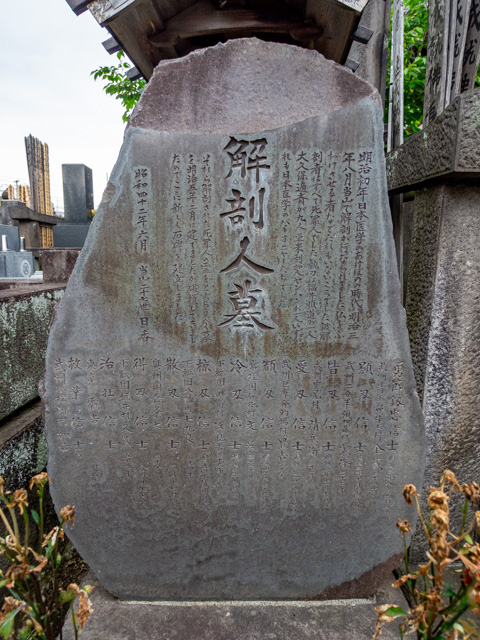 画像を別ウィンドウで表示します 画像