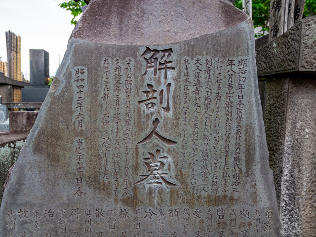 画像を別ウィンドウで表示します 画像