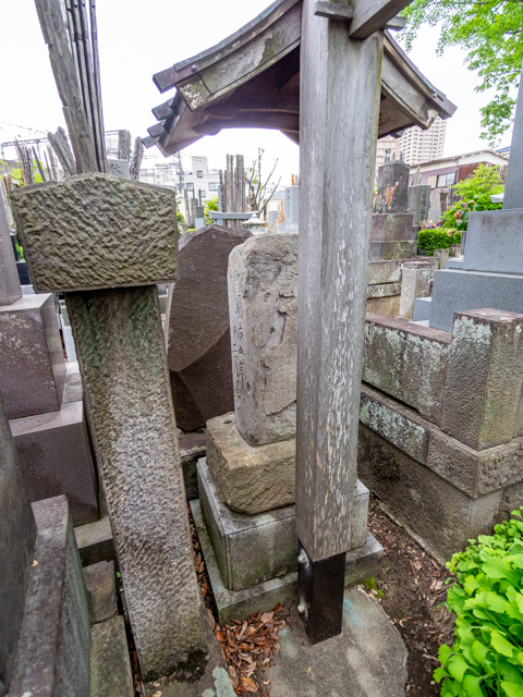 画像を別ウィンドウで表示します 画像